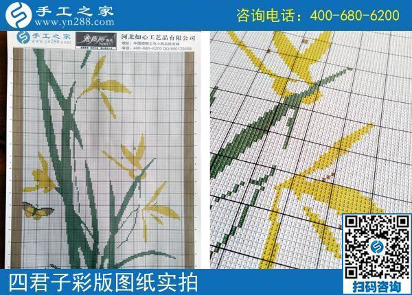 手工之家雅薇丽珠绣图纸（梅兰竹菊）新款，彩色升级版！(图5)