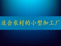 适合农村的小型加工厂，月入2万不算多，你有时间也能做