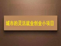 适合城市灵活就业创业的小项目，正规纯手工多了1项收入