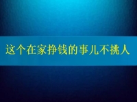 这个在家挣钱的事儿不挑人，2024要挣钱，你我就靠它了