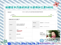 除了坐月子期间，新疆吉木乃刘女士从怀孕开始到现在一直在家做串珠手工活赚钱，这一次是540元。